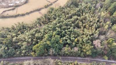 jx/hfysjd/火车站1